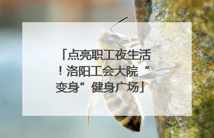 点亮职工夜生活！洛阳工会大院“变身”健身广场