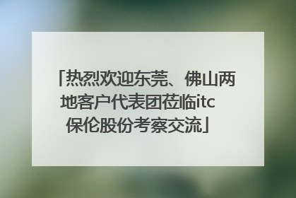 热烈欢迎东莞、佛山两地客户代表团莅临itc保伦股份考察交流