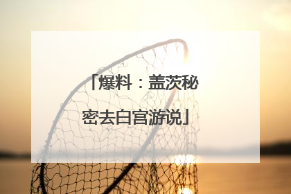 爆料：盖茨秘密去白宫游说