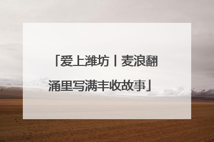 爱上潍坊丨麦浪翻涌里写满丰收故事