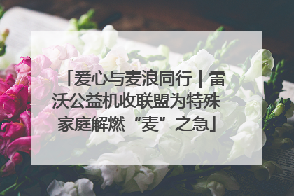爱心与麦浪同行｜雷沃公益机收联盟为特殊家庭解燃“麦”之急