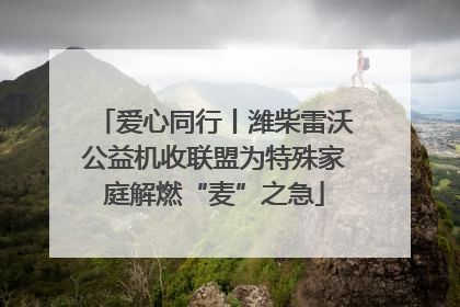 爱心同行丨潍柴雷沃公益机收联盟为特殊家庭解燃“麦”之急