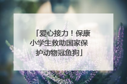 爱心接力！保康小学生救助国家保护动物冠鱼狗