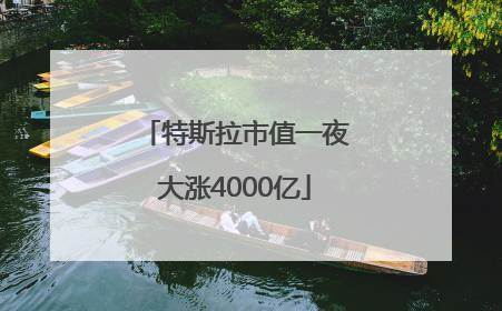 特斯拉市值一夜大涨4000亿