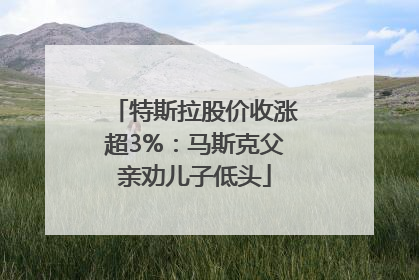 特斯拉股价收涨超3%：马斯克父亲劝儿子低头