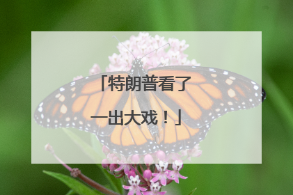 特朗普看了一出大戏！