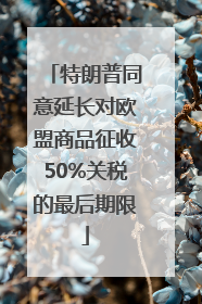 特朗普同意延长对欧盟商品征收50%关税的最后期限