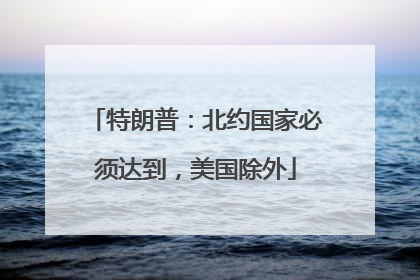 特朗普：北约国家必须达到，美国除外