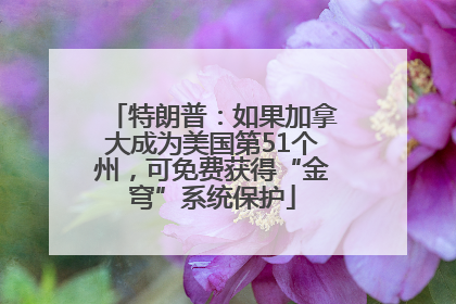 特朗普：如果加拿大成为美国第51个州，可免费获得“金穹”系统保护