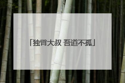 独臂大叔 吾道不孤