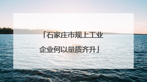 石家庄市规上工业企业何以量质齐升