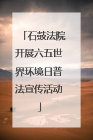 石鼓法院开展六五世界环境日普法宣传活动