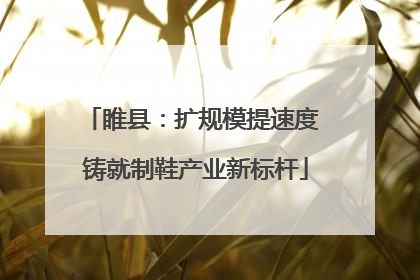 睢县：扩规模提速度 铸就制鞋产业新标杆