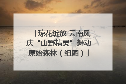 琼花绽放 云南凤庆“山野精灵”舞动原始森林（组图）