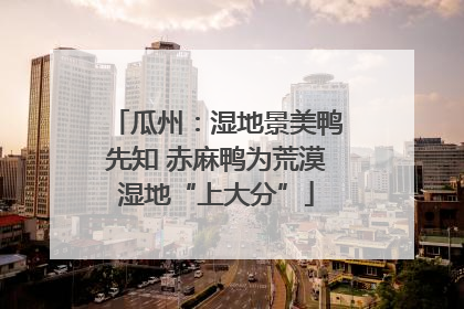 瓜州：湿地景美鸭先知 赤麻鸭为荒漠湿地“上大分”