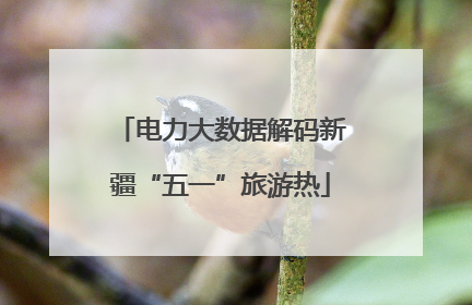 电力大数据解码新疆“五一”旅游热