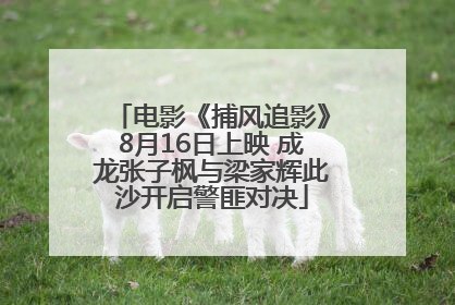 电影《捕风追影》8月16日上映 成龙张子枫与梁家辉此沙开启警匪对决