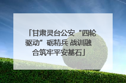 甘肃灵台公安“四轮驱动”砺精兵 战训融合筑牢平安基石