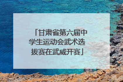 甘肃省第六届中学生运动会武术选拔赛在武威开赛