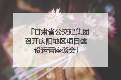 甘肃省公交建集团召开庆阳地区项目建设运营座谈会