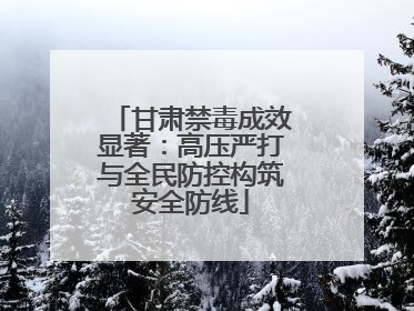 甘肃禁毒成效显著：高压严打与全民防控构筑安全防线