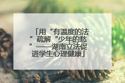 用“有温度的法”疏解“少年的愁”——湖南立法促进学生心理健康