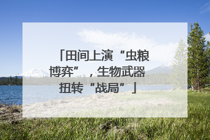 田间上演“虫粮博弈”，生物武器扭转“战局”