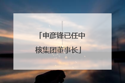 申彦锋已任中核集团董事长
