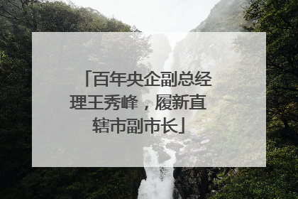 百年央企副总经理王秀峰，履新直辖市副市长
