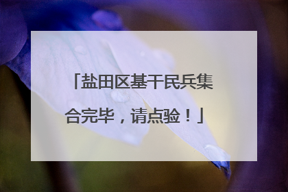 盐田区基干民兵集合完毕，请点验！