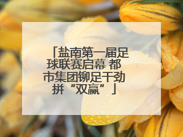 盐南第一届足球联赛启幕 都市集团铆足干劲拼“双赢”