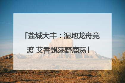 盐城大丰：湿地龙舟竞渡 艾香飘荡野鹿荡