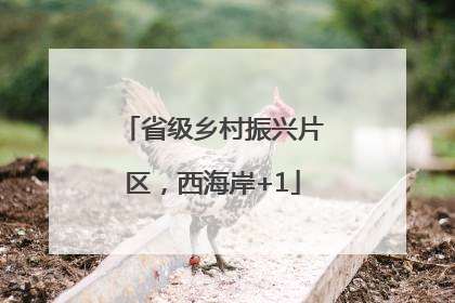 省级乡村振兴片区，西海岸+1