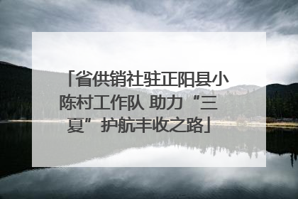 省供销社驻正阳县小陈村工作队 助力“三夏”护航丰收之路