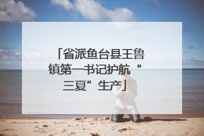 省派鱼台县王鲁镇第一书记护航“三夏”生产