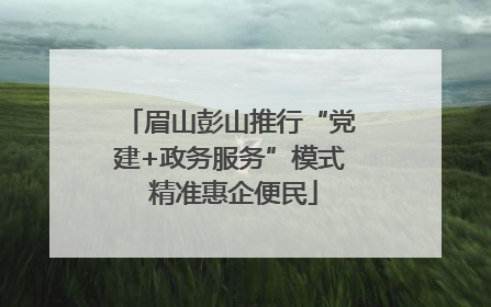 眉山彭山推行“党建+政务服务”模式 精准惠企便民