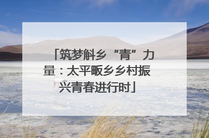 筑梦斛乡“青”力量：太平畈乡乡村振兴青春进行时