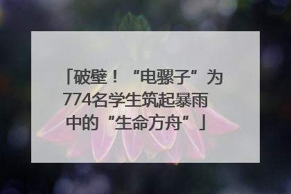 破壁！“电骡子”为774名学生筑起暴雨中的“生命方舟”