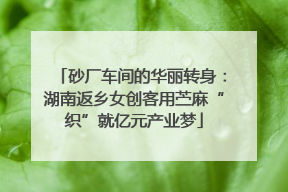 砂厂车间的华丽转身：湖南返乡女创客用苎麻“织”就亿元产业梦