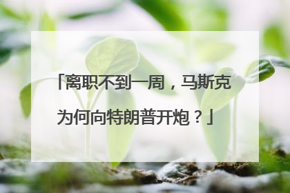 离职不到一周，马斯克为何向特朗普开炮？