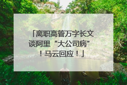 离职高管万字长文谈阿里“大公司病”！马云回应！