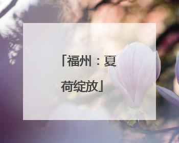 福州：夏荷绽放