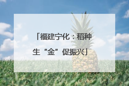 福建宁化：稻种生“金”促振兴