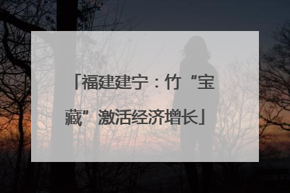 福建建宁：竹“宝藏”激活经济增长