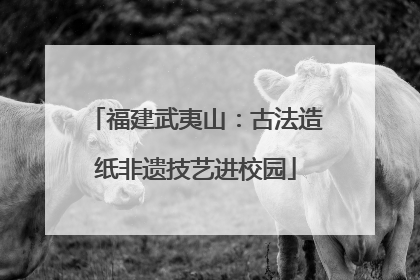 福建武夷山：古法造纸非遗技艺进校园