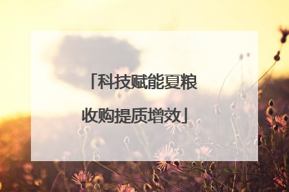 科技赋能夏粮收购提质增效