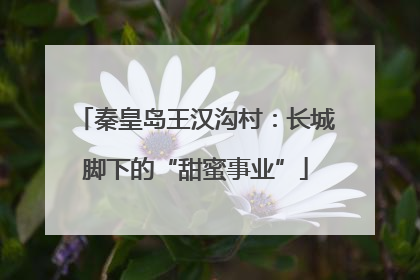 秦皇岛王汉沟村：长城脚下的“甜蜜事业”