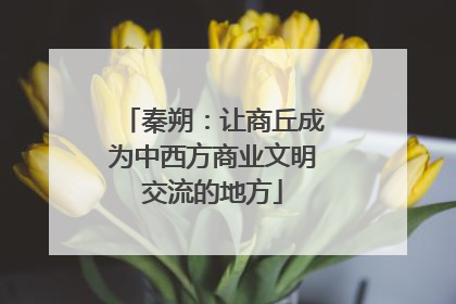 秦朔：让商丘成为中西方商业文明交流的地方