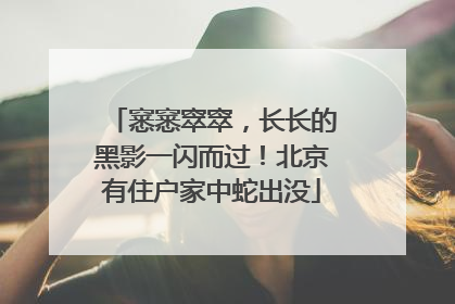窸窸窣窣，长长的黑影一闪而过！北京有住户家中蛇出没