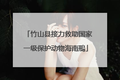 竹山县接力救助国家一级保护动物海南鳽